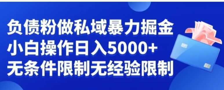 负债粉私域暴力掘金，小白操作入5000，无经验限制，无条件限制【揭秘】