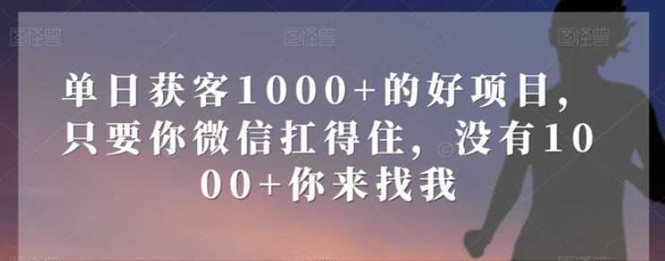 单日获客1000+的好项目，只要你微信扛得住，没有1000+你来找我【揭秘】