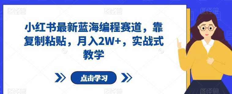 小红书最新蓝海编程赛道,靠复制粘贴,月入2W+,实战式教学【揭秘】