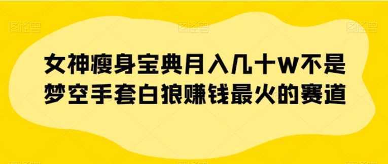 女神瘦身宝典月入几十W不是梦空手套白狼赚钱最火的赛道【揭秘】