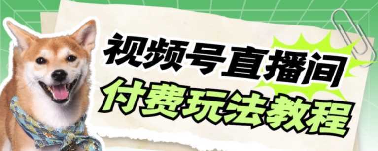视频号美女付费无人直播，轻松日入500+【详细玩法教程】