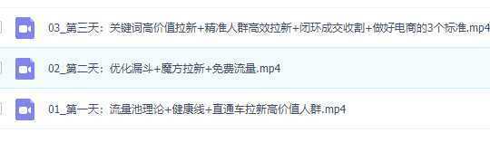 线上流量密训班19.0，打通流量关卡，线上也能实战流量破局