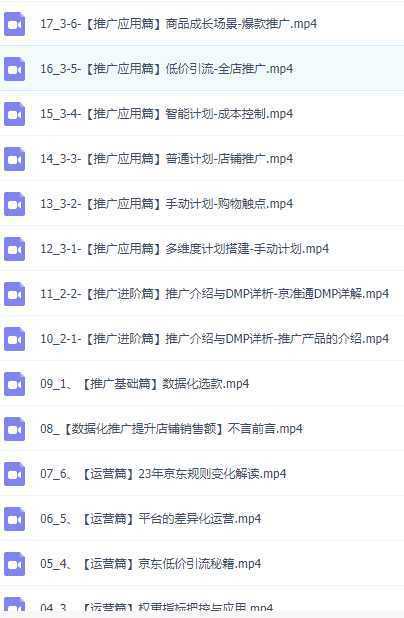 京东运营解析与数据化推广系列课，全维度讲解京东运营逻辑+数据化推广提升