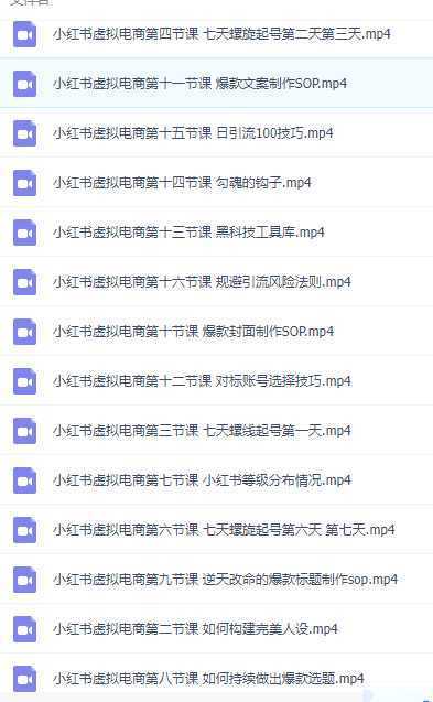 小红书虚拟电商从0到1小白到精英