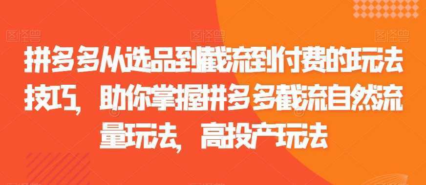 拼多多从选品到截流到付费的玩法技巧，助你掌握拼多多截流自然流量玩法，高投产玩法