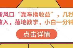 抖音新风口“靠车撸收益”,几秒视频过W收入,落地教学,小白一分钟上手【揭秘】