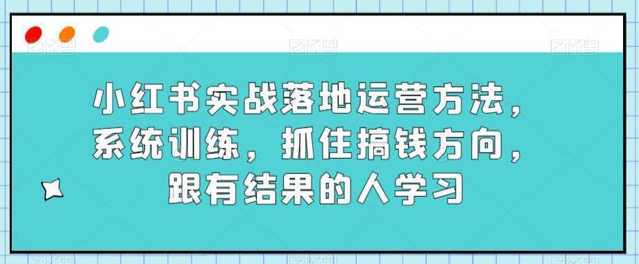 小红书实战落地运营方法，系统训练，抓住搞钱方向，跟有结果的人学习