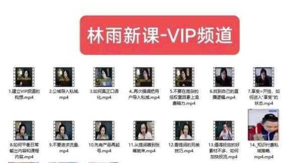 #原创                                                                                                 林雨新课VIP频道，玩赚私域/朋友圈/社群