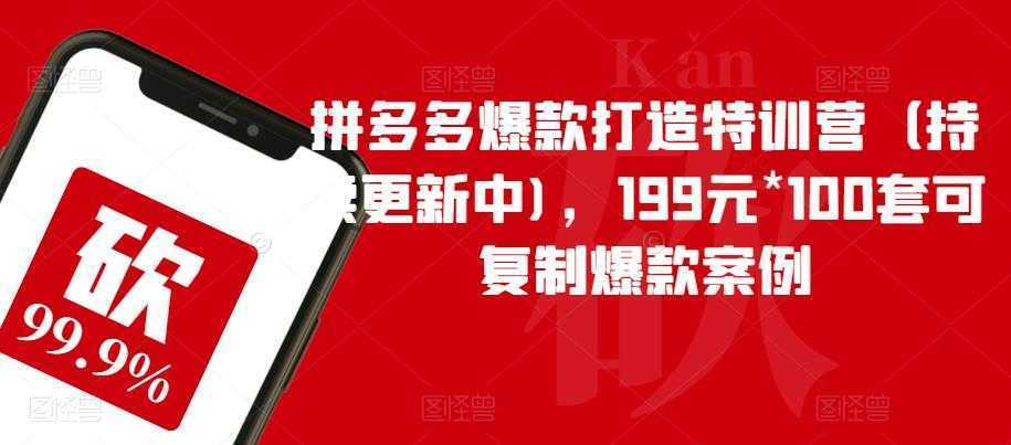 拼多多爆款打造特训营（持续更新中)，199元*100套可复制爆款案例
