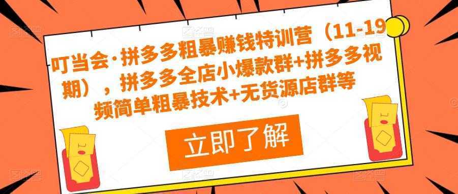 叮当会·拼多多粗暴赚钱特训营，拼多多全店小爆款群+拼多多视频简单粗暴技术+无货源店群等