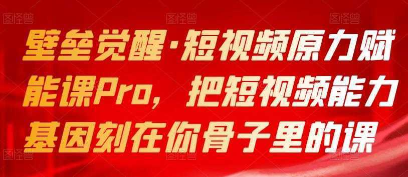 壁垒觉醒·短视频原力赋能课Pro，把短视频能力基因刻在你骨子里的课