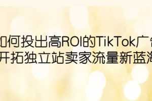 如何投出高ROI·TikTok广告，开拓独立站卖家流量新蓝海