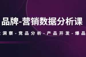 品牌-营销数据分析课,行业洞察-竞品分析-产品开发-爆品打造
