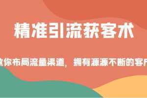 精准引流获客术,教你布局流量渠道,拥有源源不断的客户!