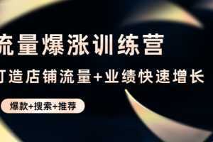 流量爆涨训练营:打造店铺流量+业绩快速增长 (爆款+搜索+推荐)【无水印】