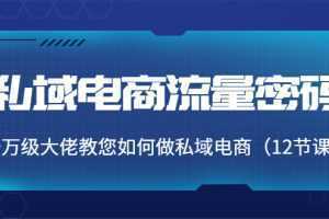 私域电商流量密码:千万级大佬教您如何做私域电商