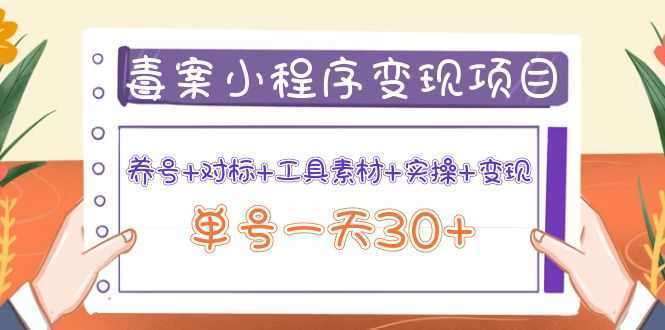 小程序变现项目：养号+对标+工具素材+实操+变现，单号一天30+