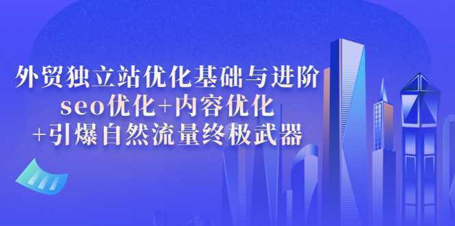 外贸独立站优化基础与进阶，seo优化+内容优化+引爆自然流量终极武器