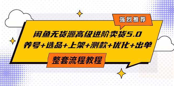 闲鱼无货源高级进阶卖货5.0，养号+选品+上架+测款+优化+出单整套流程教程
