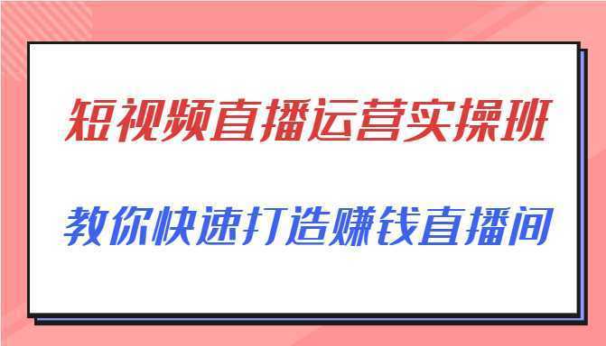 短视频直播运营实操班，直播带货精细化运营实操，教你快速打造赚钱直播间