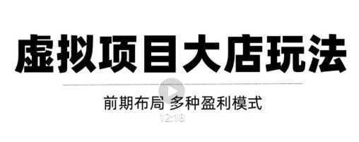 虚拟项目月入几万大店玩法分享，多店操作利润倍增！【视频教程】