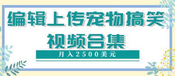 编辑上传宠物搞笑视频合集，就可以通过YouTube赚钱月入2500美元【视频教程】