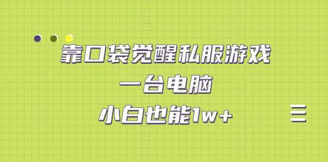 靠口袋觉醒私服游戏，一台电脑，小白也能1w+