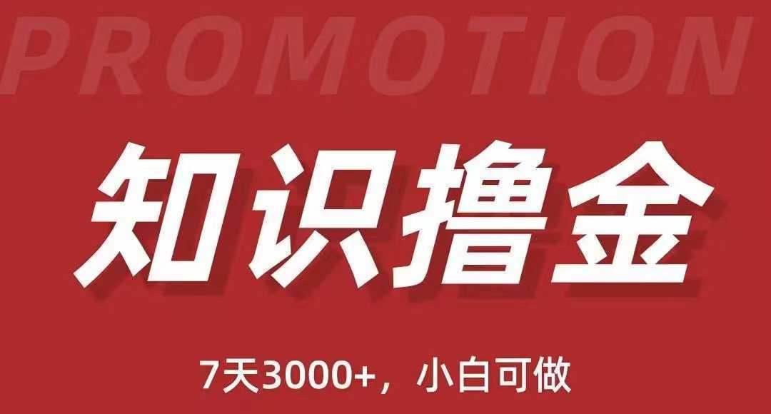抖音知识撸金项目：简单粗暴日入1000+执行力强当天见收益(教程+资料)