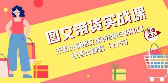 图文带货实战课:无需出镜图文带货2023新风口,快速出爆款