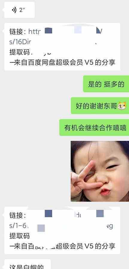 某收费培训：如何一个月快速做出盈利的资源网站-无水印