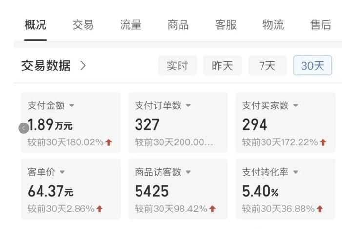 拼多多虚拟U盘电商红利项目：月赚2万+，新手小白也能玩