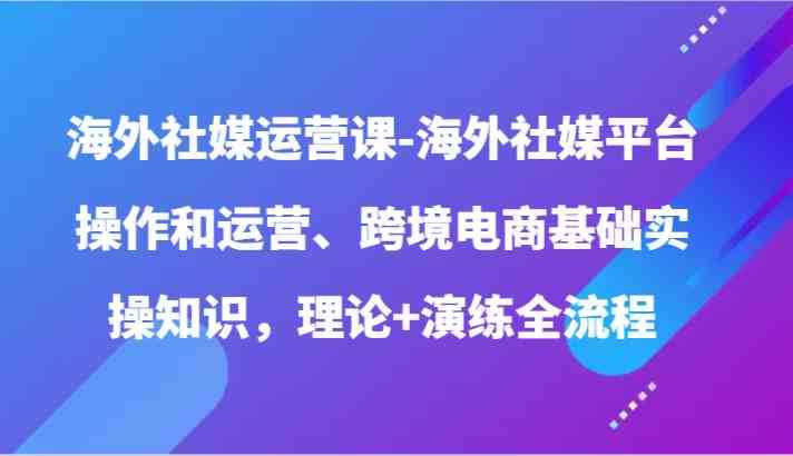 海外社媒运营课-海外社媒平台操作和运营、跨境电商基础实操知识，理论+演练全流程