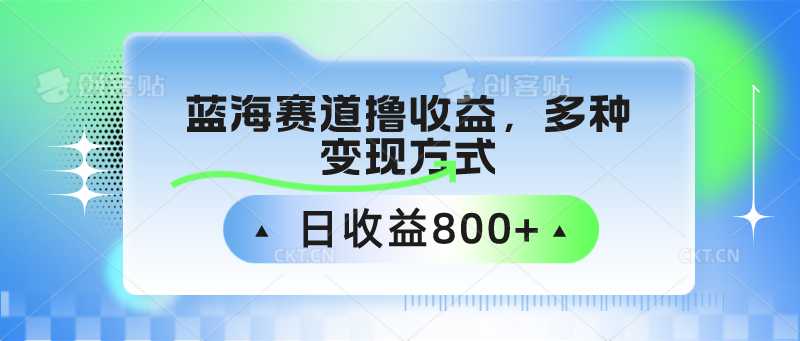 蓝海赛道撸收益，多种变现方式，日收益800+