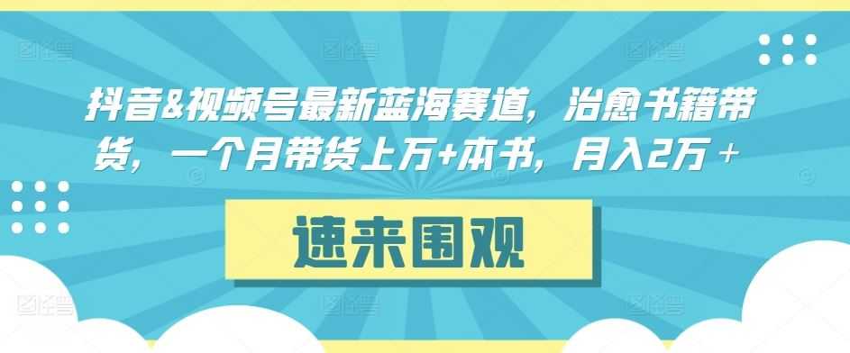 抖音&视频号最新蓝海赛道，治愈书籍带货，一个月带货上万+本书，月入2万＋【揭秘】