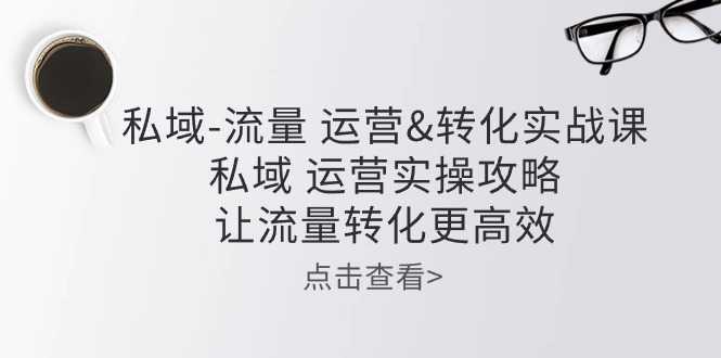 私域-流量 运营&amp;转化实操课：私域 运营实操攻略 让流量转化更高效