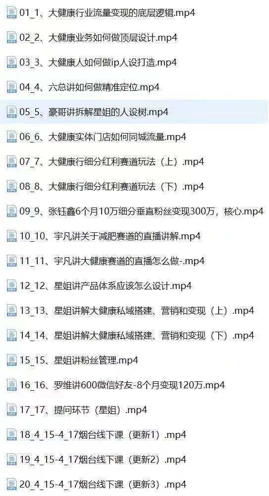 大健康 流量 变现2.0：拓高变现 流量/成高客单/低粉高变现/只讲落地实战