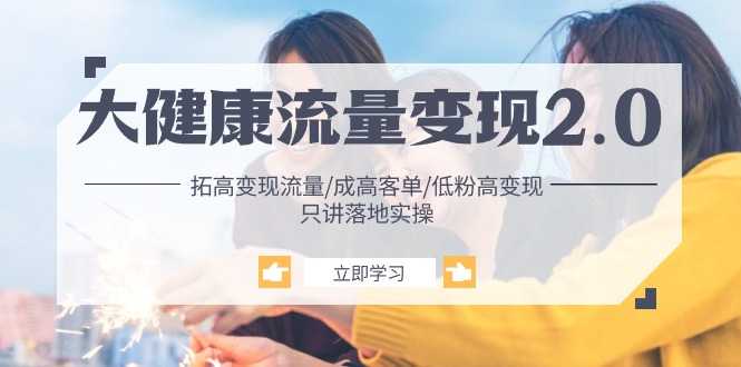 大健康 流量 变现2.0:拓高变现 流量/成高客单/低粉高变现/只讲落地实战