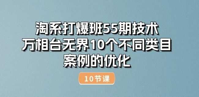 淘系打爆班55期技术：万相台无界10个不同类目案例的优化(10节)