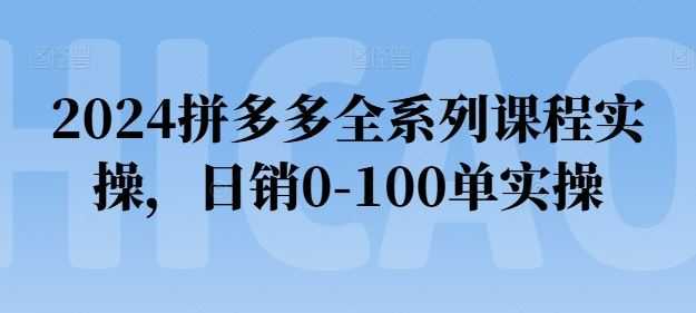 2024拼多多全系列课程实操，日销0-100单实操【必看】
