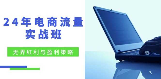 24年电商流量实战班:无界 红利与盈利策略,终极提升/关键词优化/精准…