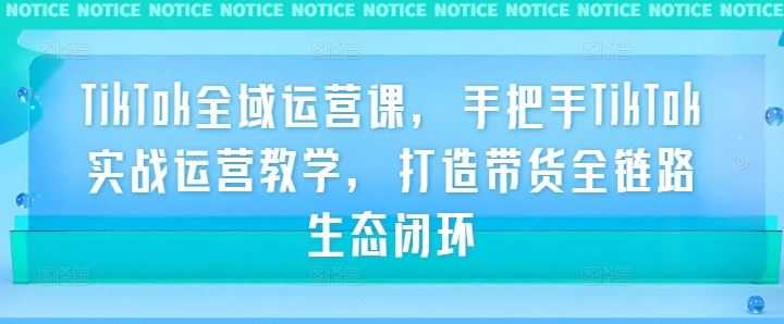 TikTok全域运营课，手把手TikTok实战运营教学，打造带货全链路生态闭环