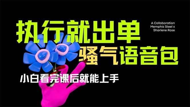 爆火全网的开车导航骚气语音包,只要执行就出单，小白看完课程就能实操…