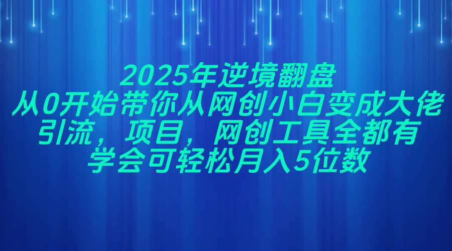 2025年逆境翻盘，从0开始带你从网创小白变成大佬，引流，项目，网创工…
