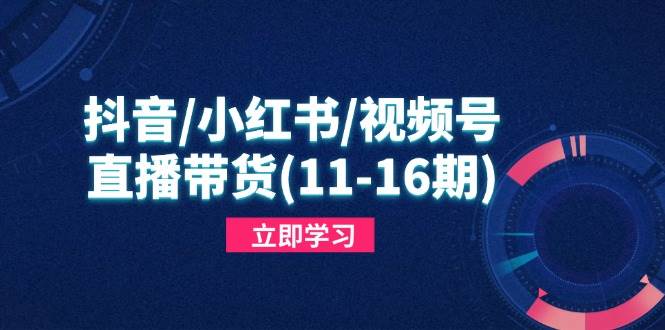 抖音/小红书/视频号/直播带货(11-16期)，快速掌握平台规则，打造爆款内容