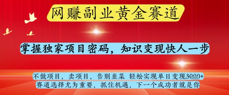 网创副业黄全赛道，掌握独家项目密码，知识变现快人一步，告别韭菜轻松实现单日变现1k+【揭秘】