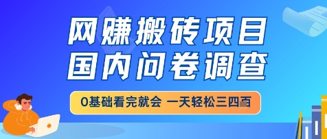 网创搬砖项目，国内问卷调查，小白轻松上手，一天三四张的也不难，干就完了【揭秘】