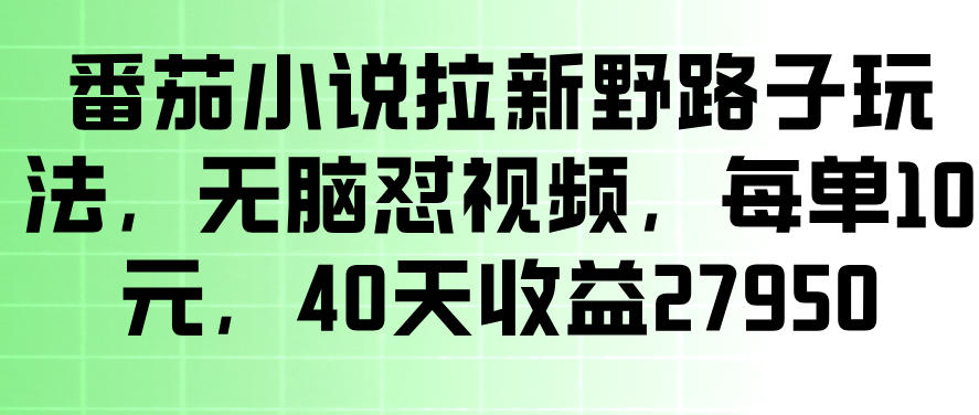 番茄小说拉新野路子玩法，无脑怼视频，玩法简单、见效快，每单10米，40天收益27950