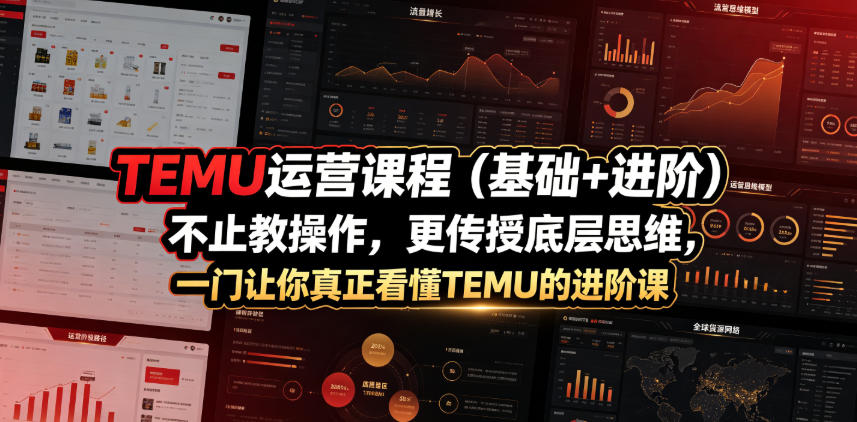 TEMU运营课程，不止教操作，更传授底层思维，一门让你真正看懂TEMU的进阶课