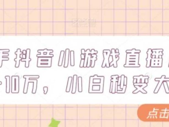 快手抖音小游戏直播月入5-10万，小白秒变大神