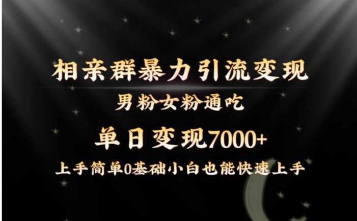 全网首发相亲群暴力引流男粉女粉通吃变现玩法，单日变现7000+保姆教学1.0